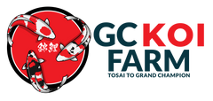 GC Koi Farm